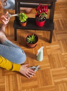 Сравнение винилового ламината с традиционными напольными покрытиями